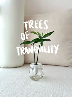 (Category: ) located in . Submitted by tabletoptrees (Listing ID 1304558000, Image 1). Description: .