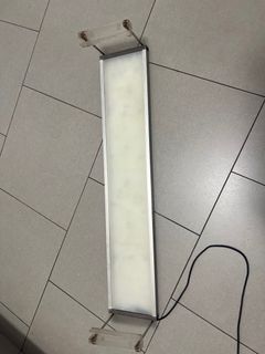(Category: ) located in . Submitted by chuatianboon (Listing ID 1304642600, Image 1). Description: .