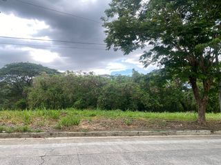 480sqm Lot For Sale @ Eastland Heights  Antipolo Rizal