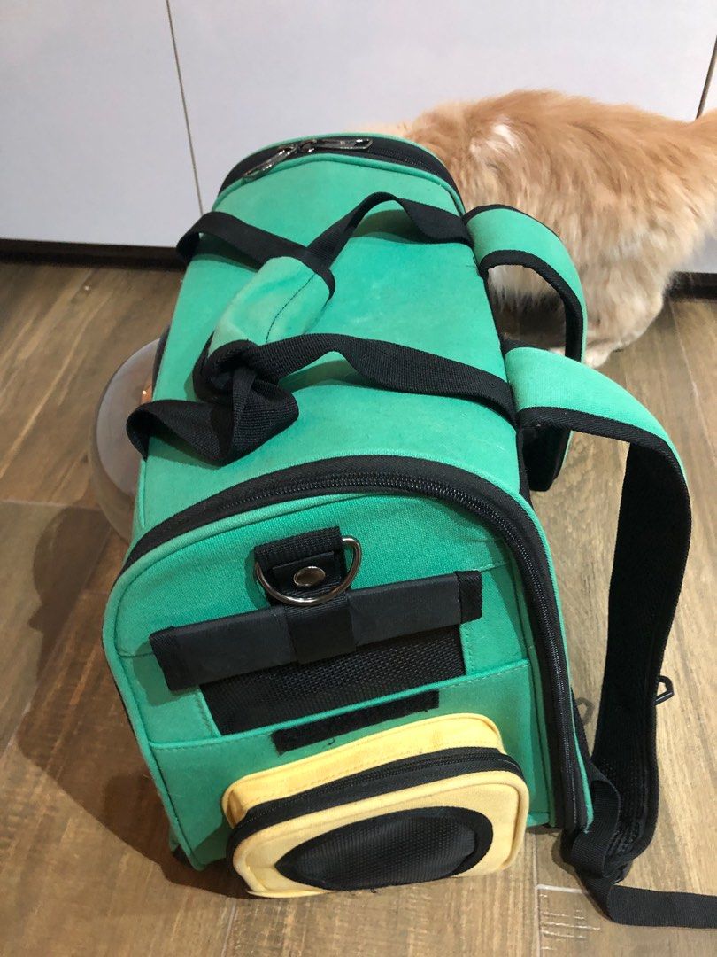Backpack (Category: Homes & Other Pet Accessories) located in Singapore. Submitted by taraus25 (Listing ID 1304667594, Image 3). Description: Nice backpack for cat to bring them out for outing or grooming .