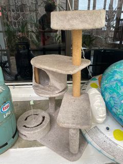 (Category: ) located in . Submitted by yellowgolfcat (Listing ID 1304677039, Image 1). Description: .