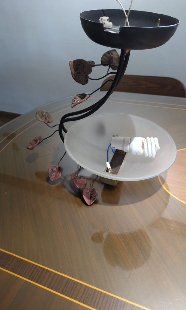 Ceiling light (Category: Lighting) located in Singapore. Submitted by giraffeha (Listing ID 1304675847, Image 1). Description: Free bulb included..