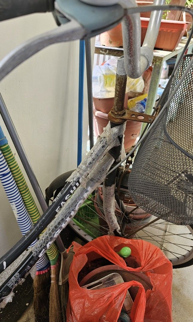 Ladies Cycle Sports Equipment Bicycles Parts Bicycles on Carousell