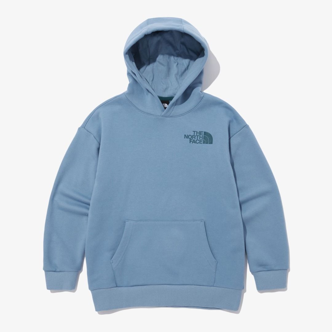 North face baby blue hoodie best sale