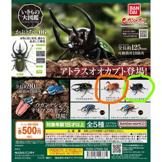 （分類：）位於 。 由 fffy_ 提交（商品編號 1304853310，圖片 1）。簡介： 。