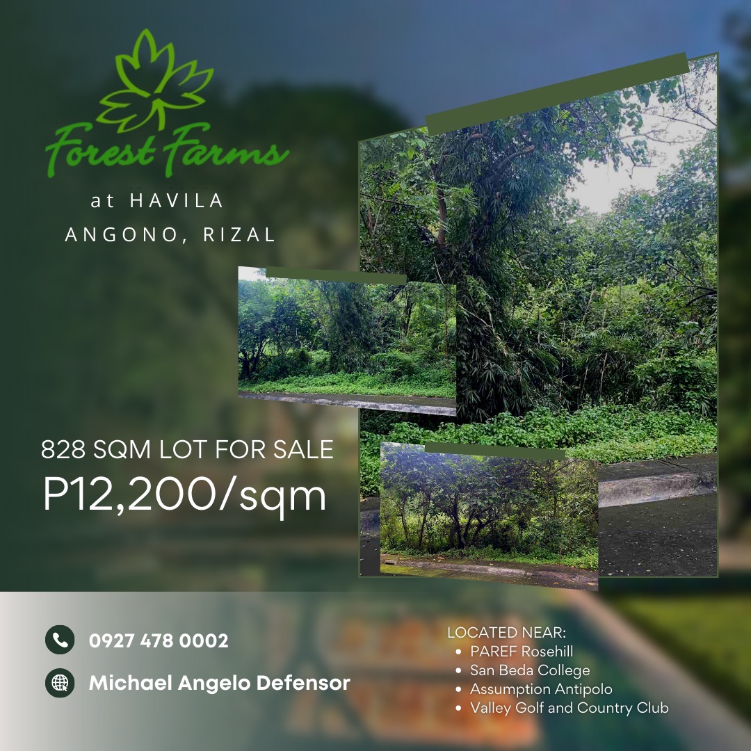 Angono, Rizal Lot For Sale (828 SQM), Property, For Sale, Lot on Carousell
