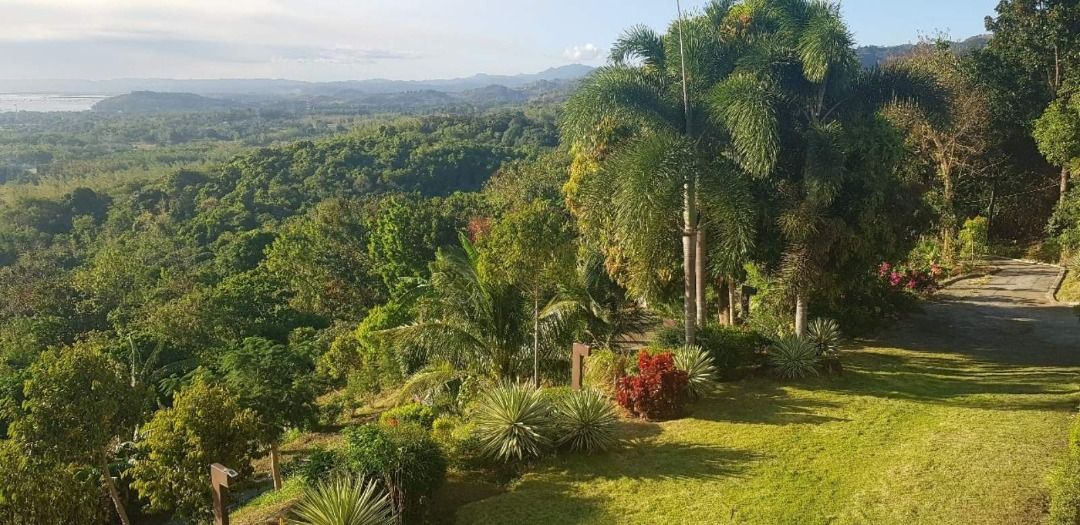 FOR SALE: 1 Hectare - Pililla Rizal - Retreat house / weekend property ...