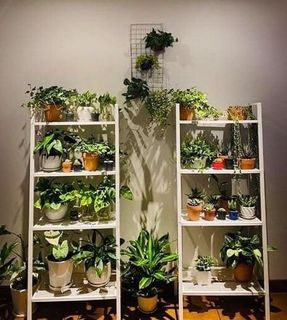 (Category: ) located in . Submitted by redonlineshop (Listing ID 1304826065, Image 1). Description: .