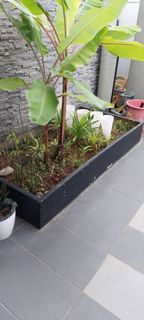 (Category: ) located in . Submitted by francesgan (Listing ID 1304834346, Image 1). Description: .