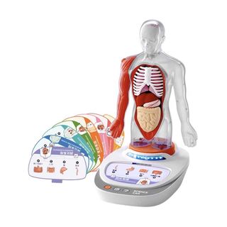 （分類：）位於 。 由 hkstemtoy 提交（商品編號 1304871518，圖片 1）。簡介： 。