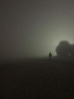 (Category: ) located in . Submitted by elliot_. (Listing ID 1304903074, Image 1). Description: .