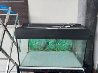 (Category: ) located in . Submitted by afi4520 (Listing ID 1305044828, Image 1). Description: .