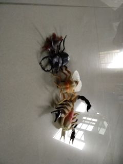 (Category: ) located in . Submitted by midkey (Listing ID 1304996901, Image 1). Description: .