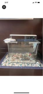 （分類：）位於 。 由 aviven94 提交（商品編號 1305025981，圖片 1）。簡介： 。