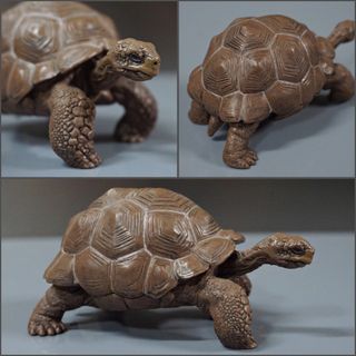 Galapagos Tortoise Collectible Figure By Papo