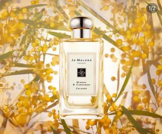 Jo Malone Mimosa & Cardamom Cologne64227741629185110