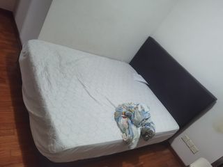 (Category: ) located in . Submitted by noblecloud.a6bd8f (Listing ID 1305119025, Image 1). Description: .