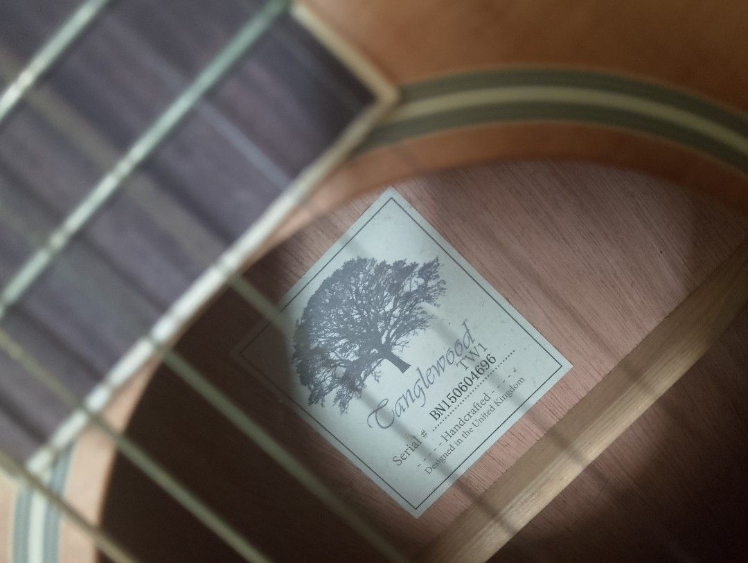 Tanglewood tw1 2025