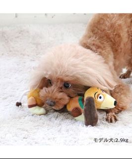 （分類：）位於 。 由 852paw 提交（商品編號 1304985912，圖片 1）。簡介： 。