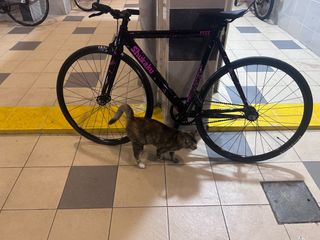 (Category: ) located in . Submitted by cosprettysg (Listing ID 1305070359, Image 1). Description: .