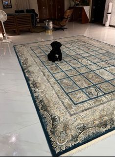 Carpet 250x350 cm