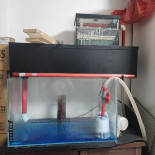 (Category: ) located in . Submitted by sgixus (Listing ID 1305214005, Image 1). Description: .