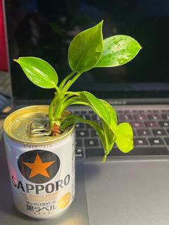 （分類：）位於 。 由 mist_moist_moss 提交（商品編號 1305163594，圖片 1）。簡介： 。