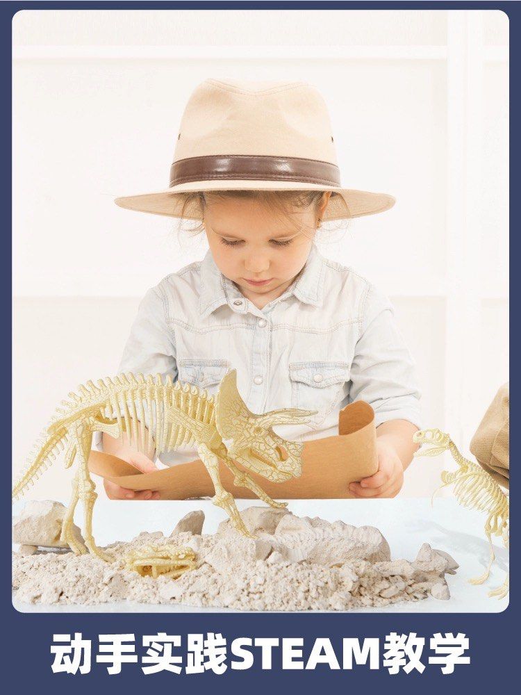 Joan Miro Dinosaur TRex Fossil Excavation Educational Science Paleontologist Playset!, Hobbies