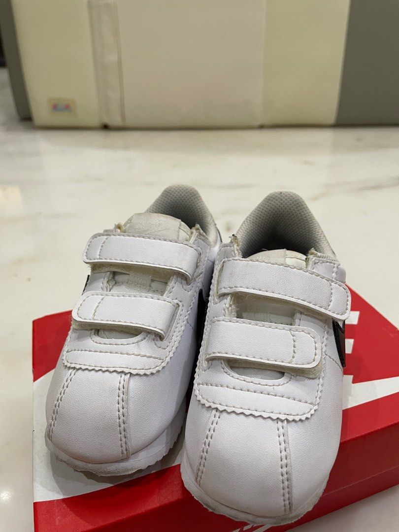 cortez basic sl tdv