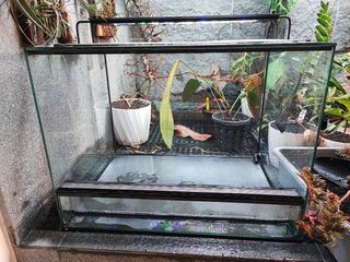 (Category: ) located in . Submitted by irindale (Listing ID 1305229398, Image 1). Description: .