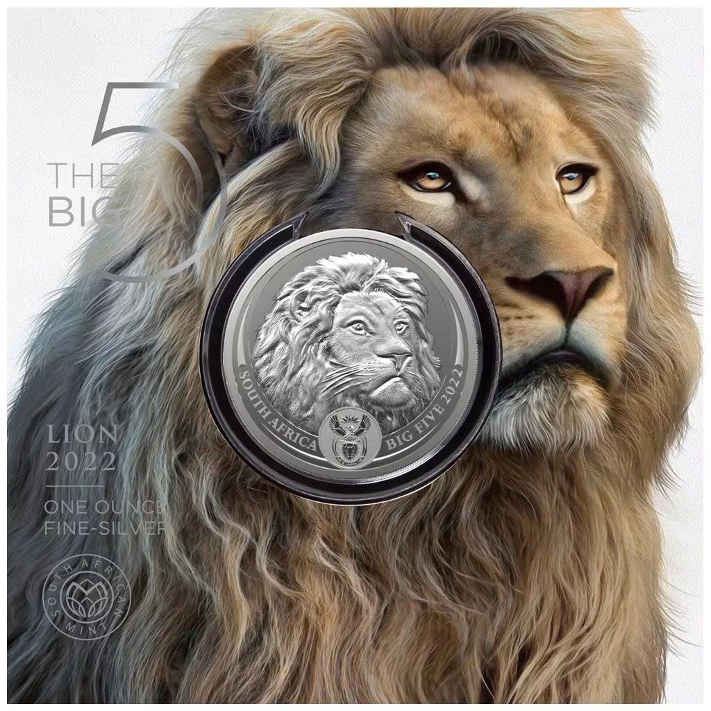 2021 South Africa 2-Coin Silver Big Five Buffalo Proof Coin Set - Stout