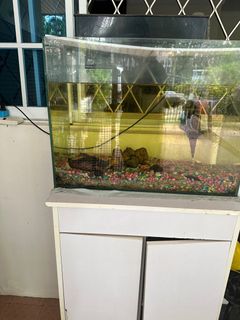 (Category: ) located in . Submitted by shereenakannan (Listing ID 1305319541, Image 1). Description: .
