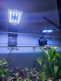 (Category: ) located in . Submitted by paulnography (Listing ID 1305483884, Image 1). Description: .