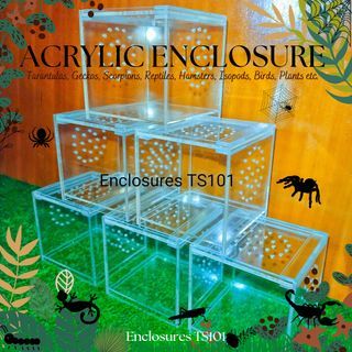 Acrylic Enclosures Cage Breeding Box for Exotic pets tarantula scorpion reptiles tortoise isopods BD and others