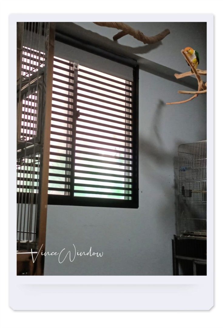 Aluminium Window Grilles Swing Door Grilles Sliding Door Grilles with Pet Friendly Catproof Cat Proof Design for BTO HDB Resale Condo Landed Commercial62863078491650113