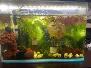 (Category: ) located in . Submitted by myhuhu (Listing ID 1305448450, Image 1). Description: .