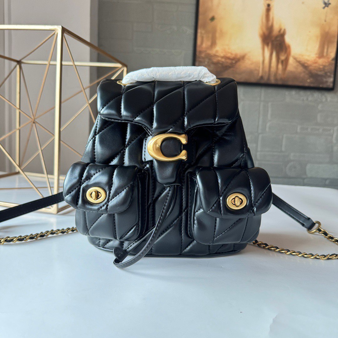 coach_women_tabby_backpack_bag