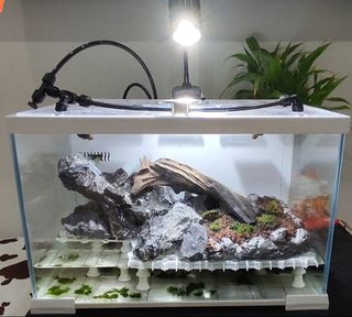 (Category: ) located in . Submitted by wanbang (Listing ID 1305440626, Image 1). Description: .
