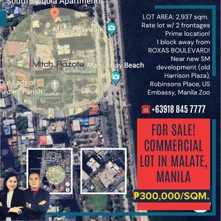 2,937 sqm. Prime Commercial Vacant Lot For Sale in Malate, Manila Near Roxas Boulevard