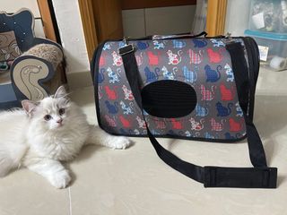 （分類：）位於 。 由 twshannn 提交（商品編號 1305590489，圖片 1）。簡介： 。