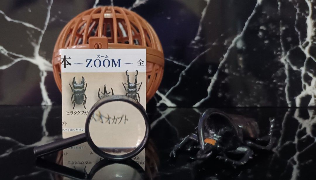 Beetle Collection Specimen - Zoom Figure (Category: Figurines & Statues) located in Minglanilla. Submitted by collectorboy143 (Listing ID 1305586384, Image 1). Description: .