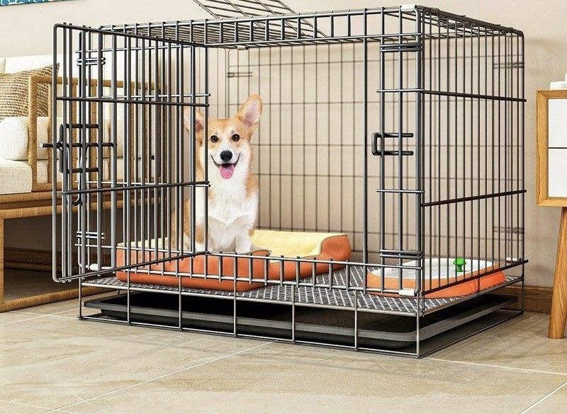 Free large dog crate clearance