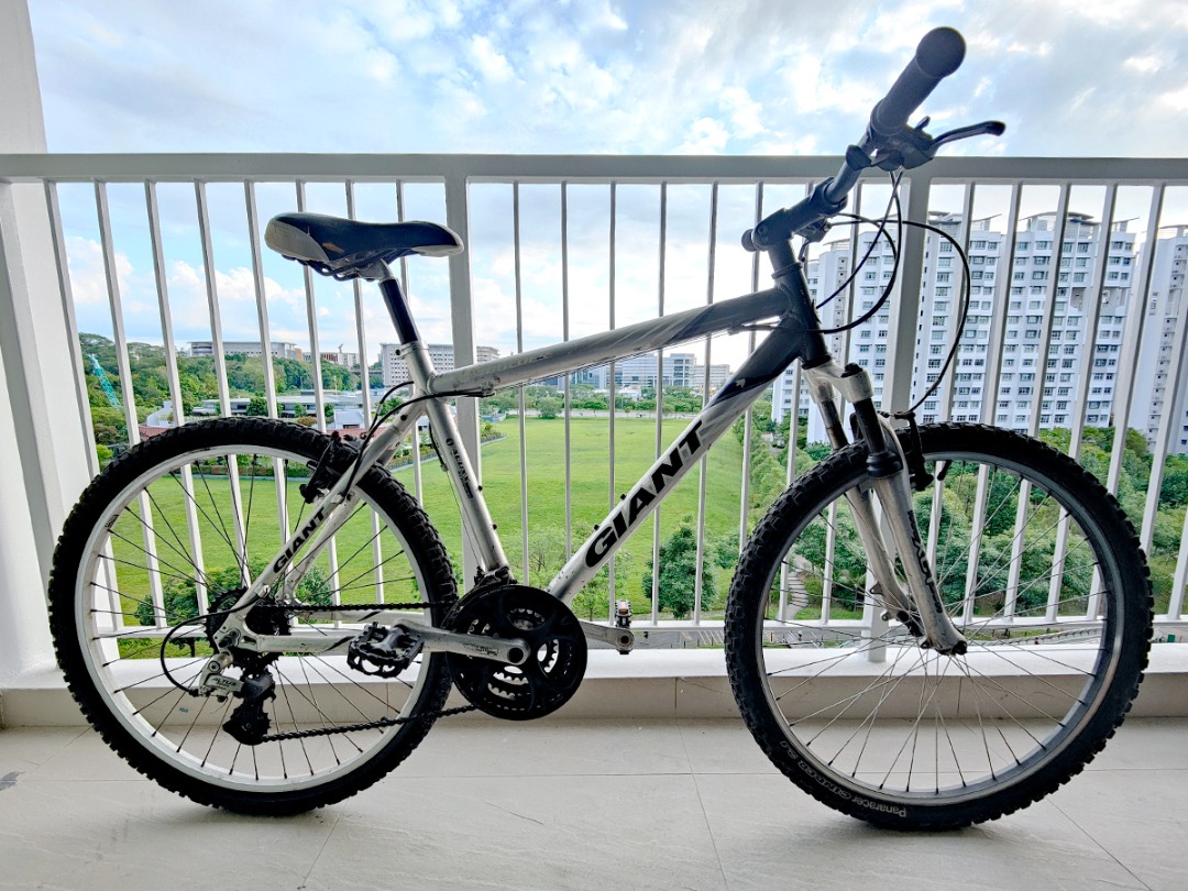 Giant boulder 2019 top