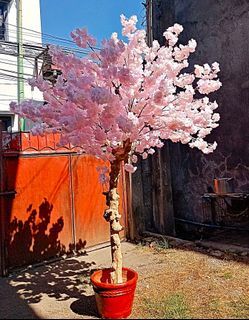 Sakura tree Artificial Cherry Blossoms SaleORrentalforEvents