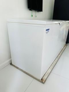 Super Energy saving inverter Chest Freezer (Fujidenzo)