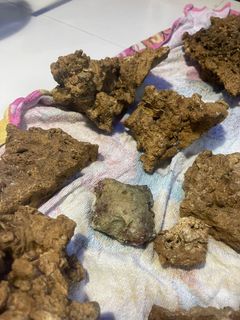 （分類：）位於 。 由 yanwong29 提交（商品編號 1305717968，圖片 1）。簡介： 。