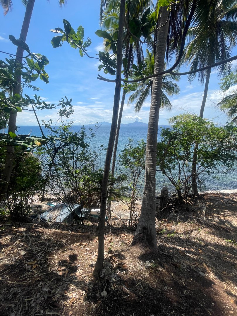Anilao Beach Resort for Sale! Only 85M, Property, For Sale, Lot on