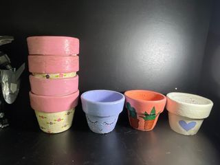 Pots for cactus
