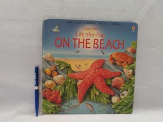 USBORNE ON THE BEACH (LIFT-THE-FLAP BOOK)