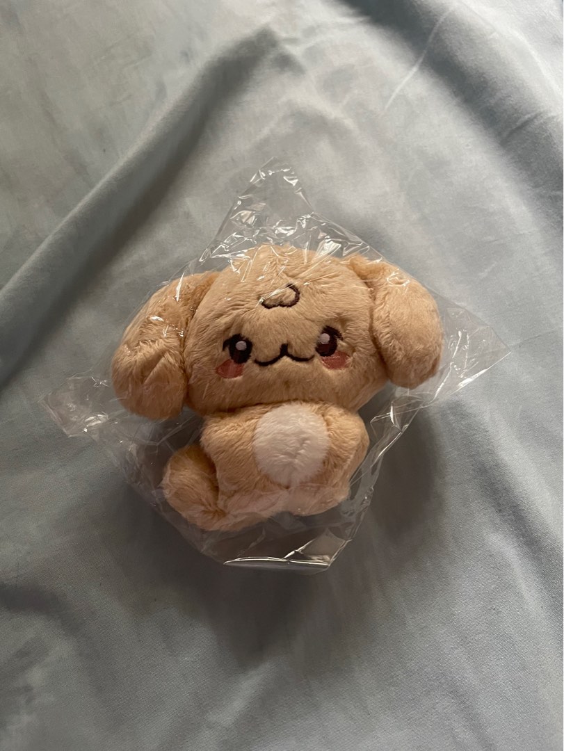wts enhypen jake 10cm doll plush “enhaz” series & pouch, Toys